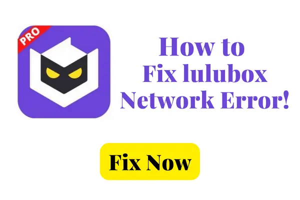 how-to-fix-lulubox-network-error